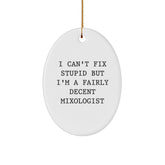 Funny Mixologist Oval Ornaments for Men Gifts from Friends, Funny Christmas Unique Gifts for Mixologist, I Can't Fix Stupid But I'm A Fairly Decent Mixologist - Image 1